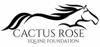 Veteran Roadmap to Resilience workshop